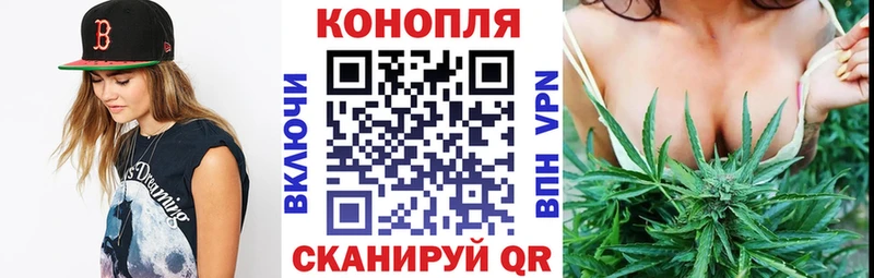 Каннабис MAZAR  ссылка на мегу вход  Новый Оскол  магазин продажи  